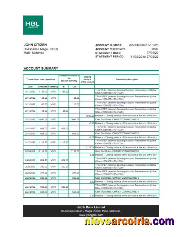 Maldives HBL Bank Statement Photolook