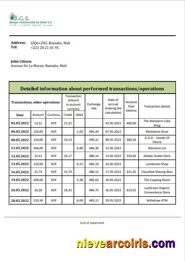 Realistic Mali Banque Commerciale Du Sahel Bank Statement Template In Word And PDF Format, .doc And .pdf Format