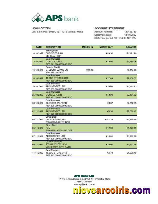 Malta APS Bank Statement Xls Photolook