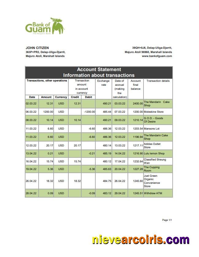 Marshall Islands Bank Of Guam Bank Statement Xls Preview