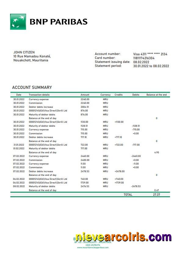 Professional Mauritania BNP Paribas Bank Statement Template In Word And PDF Format
