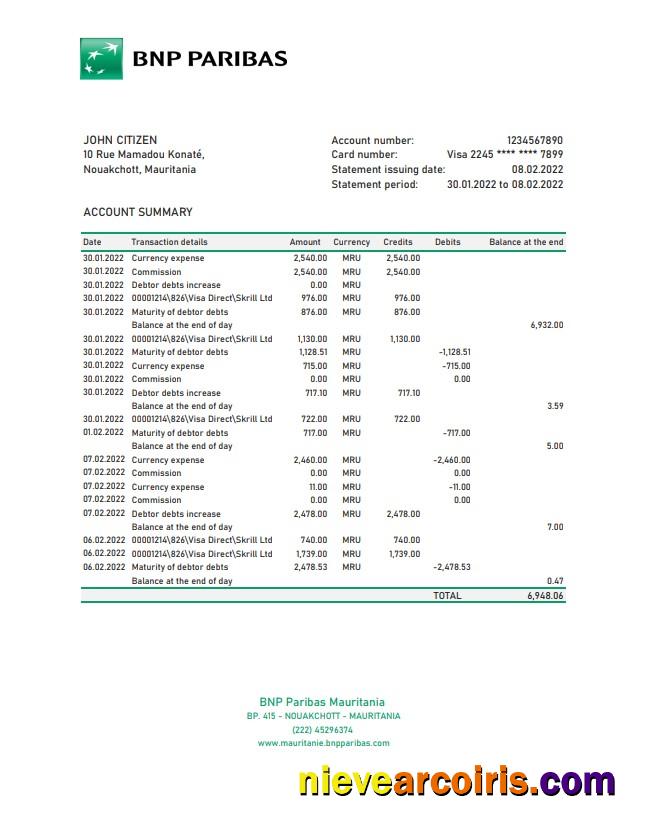 Mauritania BNP Paribas Bank Statement Photolook