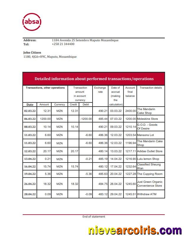 Mozambique ABSA Bank Statement Photolook