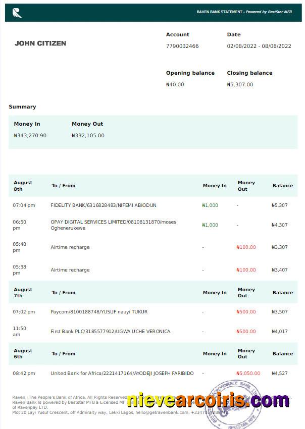 Premium NIGERIA RAVEN Bank Statement Word And PDF Template