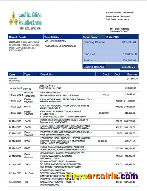Professional Nepal Kumari Bank Limited Account Statement Word And PDF Template