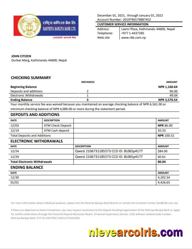 Nepal Rastriya Banijya Bank Statement Preview