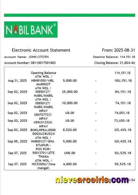 Professional Nepal Nabil Bank Electronic Account Statement Word And PDF Template
