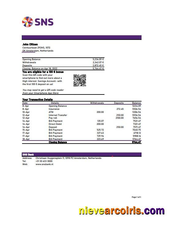 Realistic Netherlands SNS Bank Statement Excel And PDF Template