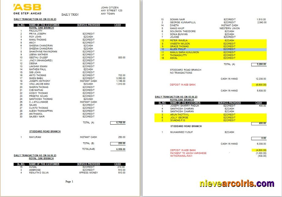 Premium New Zealand ASB Bank Statement Word And PDF Template, 2 Pages