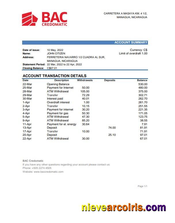 Premium Nicaragua BAC Credomatic Bank Statement Excel And PDF Template
