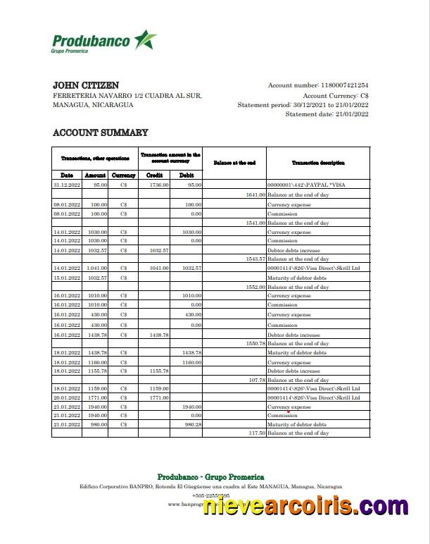 Professional Nicaragua Banco De La Producción Bank Statement Excel And PDF Template