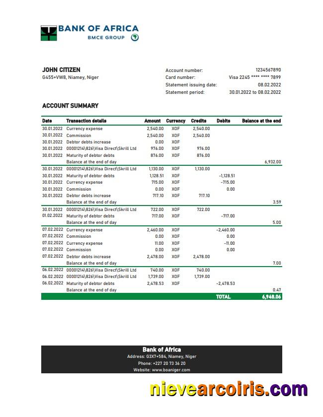 Niger Bank Of Africa Bank Statement Sample