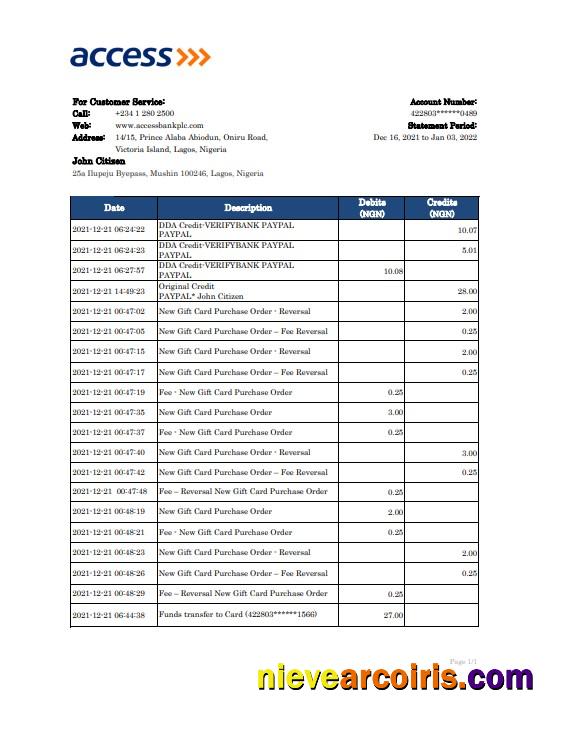 Premium Nigeria Access Bank Statement Excel And PDF Template