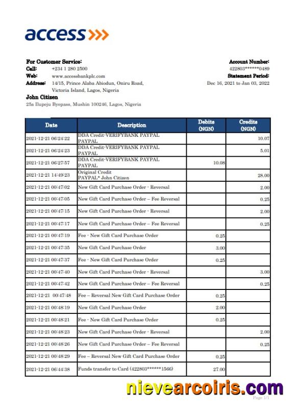 Nigeria Access Bank Statement Preview
