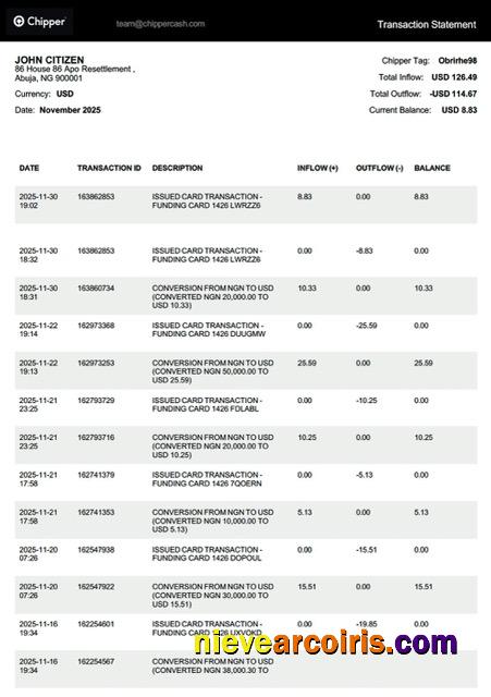 Professional Nigeria Chipper Transaction Statement Word And PDF Template