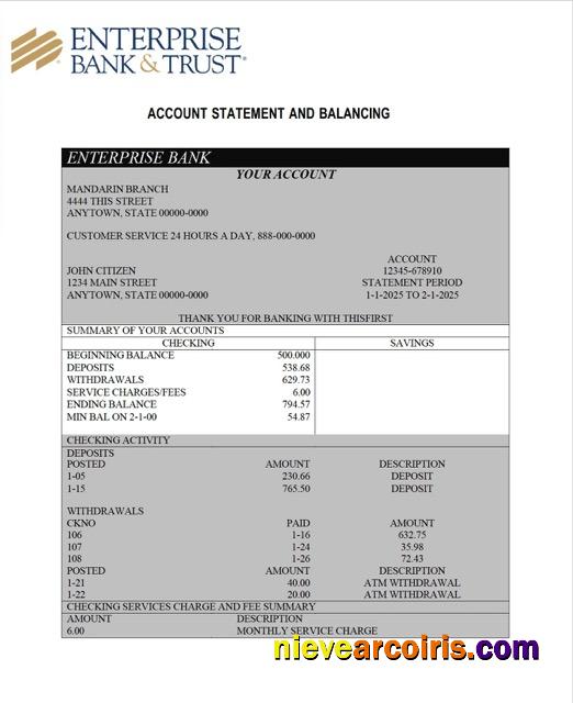 Professional Nigeria Enterprise Bank Account Statement Word And PDF Template