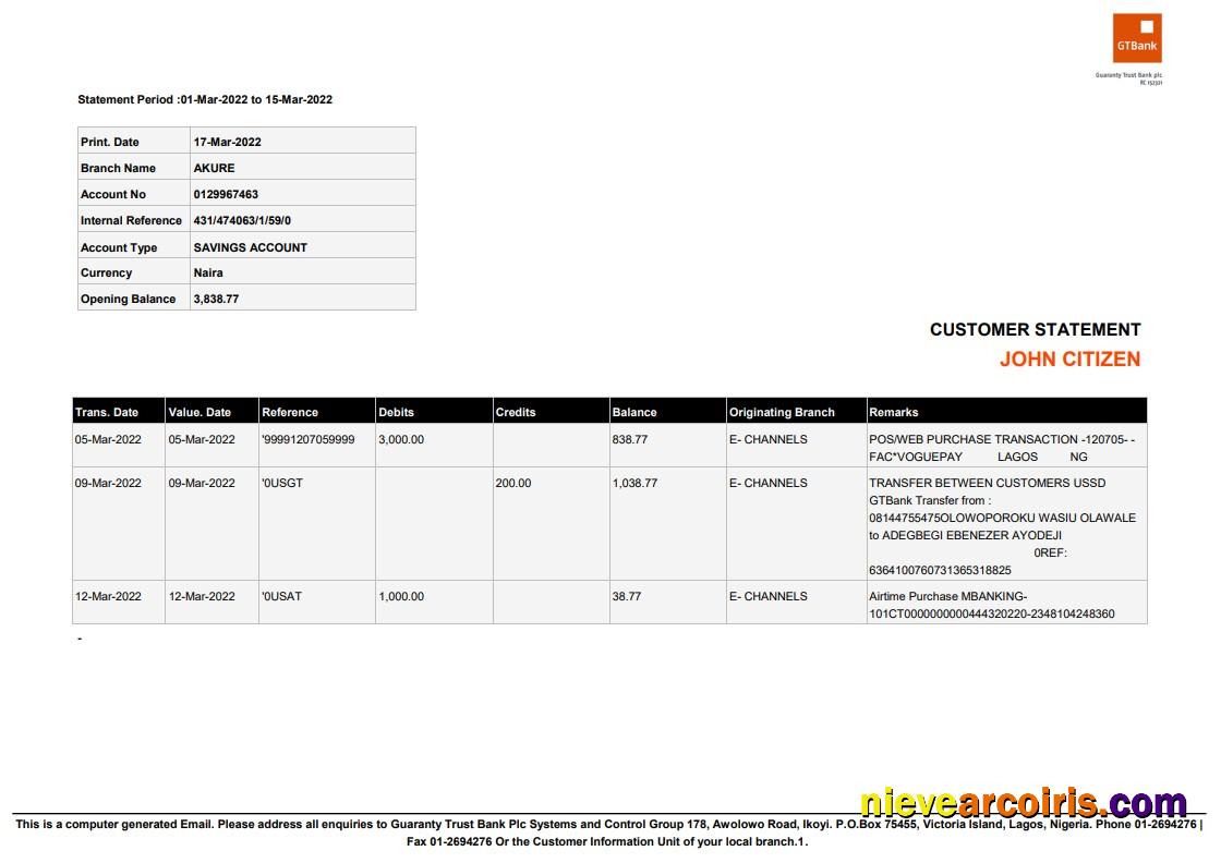 Professional Nigeria Guaranty Trust Bank (GTBank) Savings Account Statement Word And PDF Template