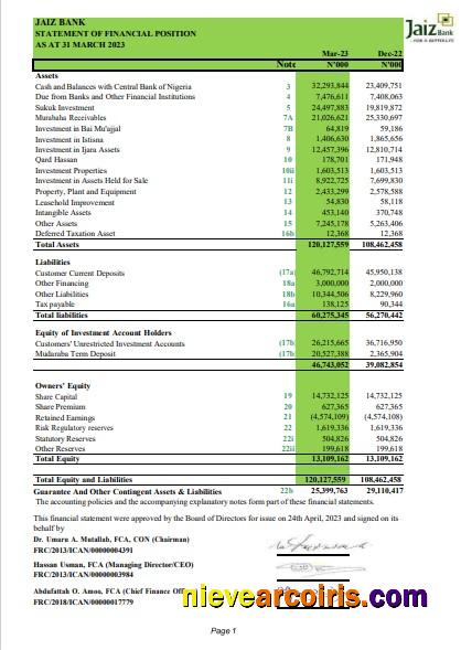 Professional Nigeria Jaiz Bank Statement Word And PDF Template