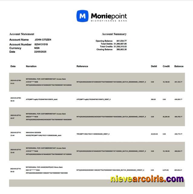 Premium Nigeria Moniepoint Microfinance Bank Account Statement Word And PDF Template