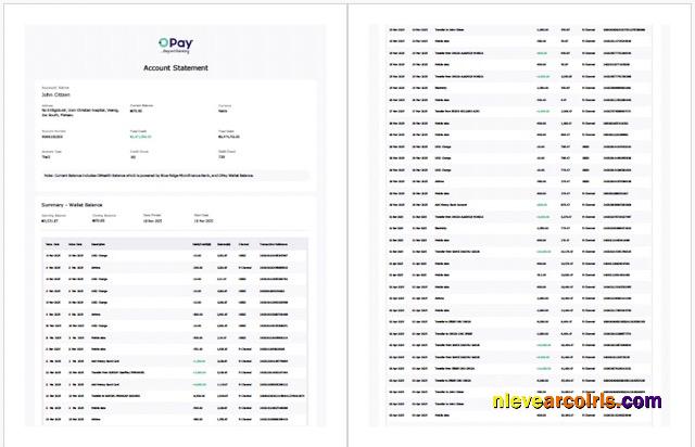 Professional Nigeria Opay Account Statement Word And PDF Template, 2 Pages