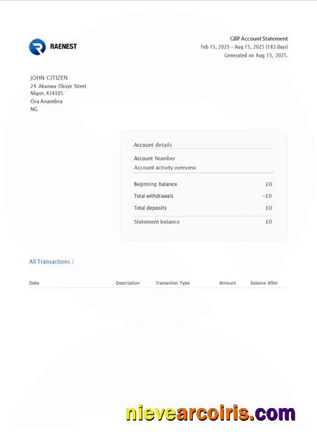 Editable Nigeria Raenest Account Statement Word And PDF Template
