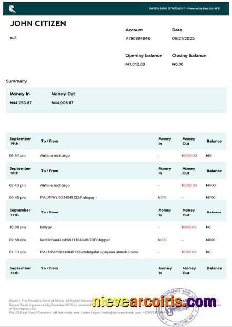 Editable Nigeria Raven Bank Statement Word And PDF Template