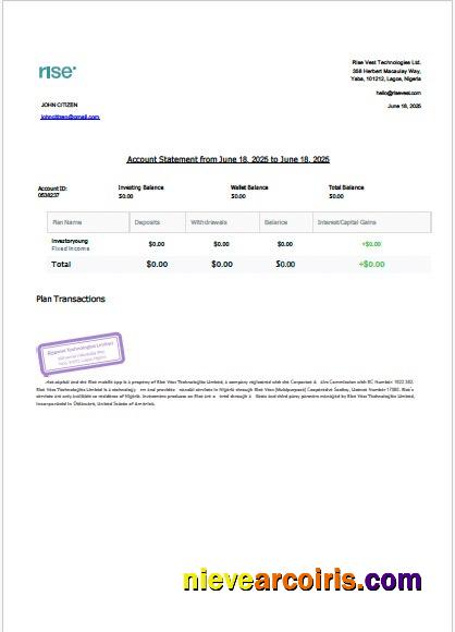Realistic Nigeria Rise Vest Account Statement Word And PDF Template