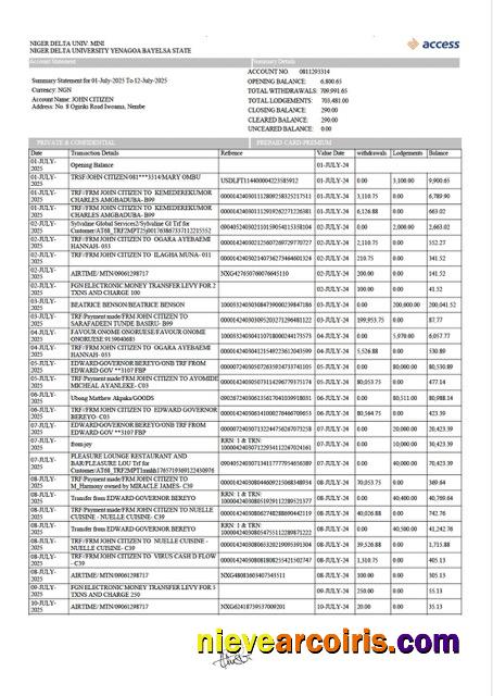 Realistic Nigeria Access Bank Account Statement Word And PDF Template