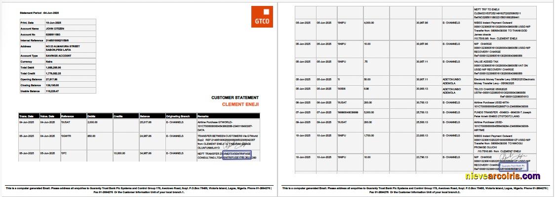 Editable Nigeria Guaranty Trust Bank Plc Account Statement Word And PDF Template, 2 Pages