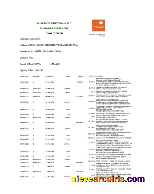 Editable Nigeria Guaranty Trust Bank Plc Account Statement Word And PDF Template, Version 2