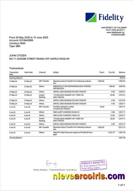 Realistic Nigerienia Fidelity Bank Statement Word And PDF Template, Version 2