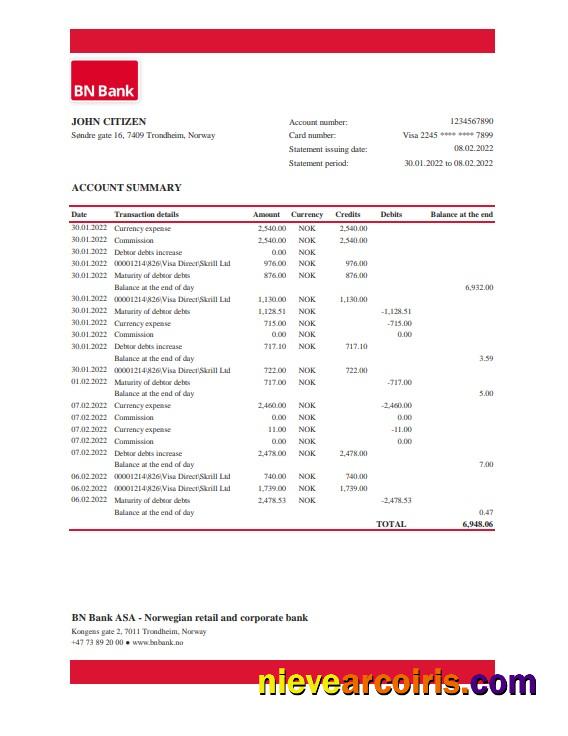 Professional Norway BN Bank Statement Excel And PDF Template