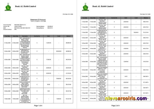 Realistic Pakistan Bank Al Habib Statement Of Account Word And PDF Template, 4 Pages, 1 2 Pages