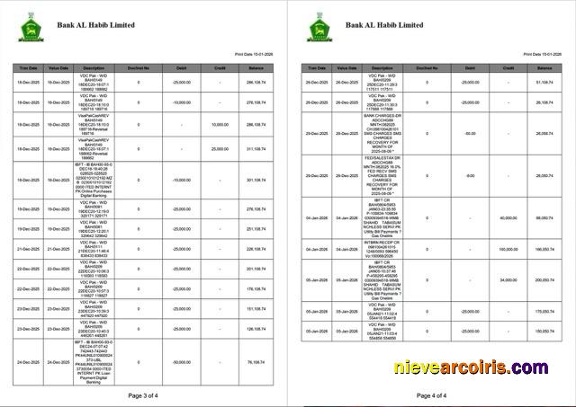 Professional Pakistan Bank Al Habib Statement Of Account Word And PDF Template, 4 Pages, 3 4 Pages