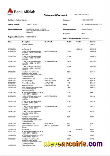 Professional Pakistan Bank Alfalah Statement Of Account Word And PDF Template
