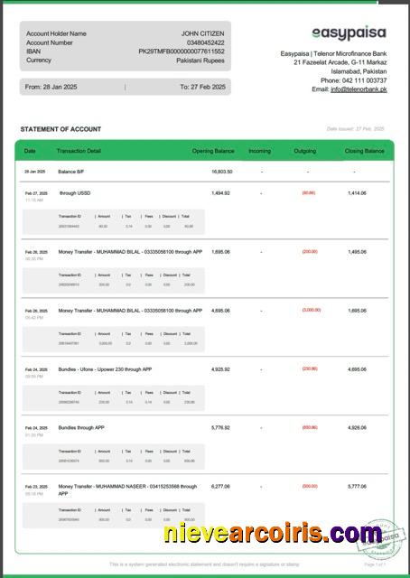 Realistic Pakistan Easypaisa Statement Of Account Word And PDF Template