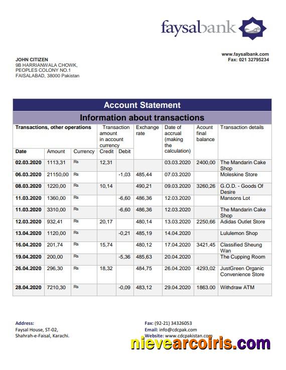Realistic Pakistan Faysal Bank Statement Template In Word And PDF Format