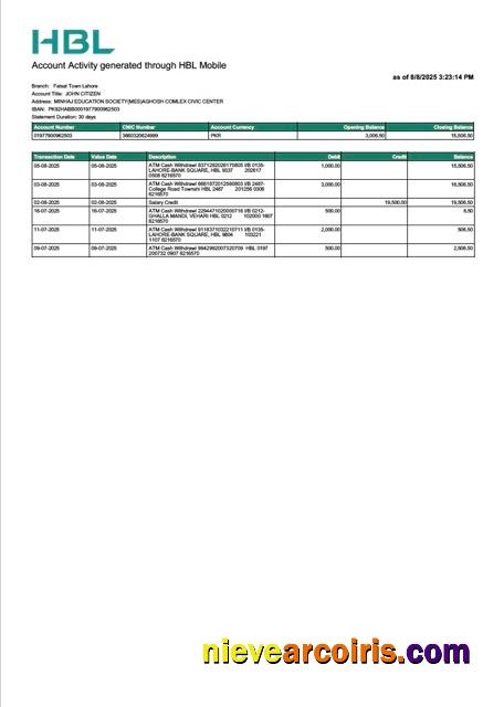 Premium Pakistan HBL Account Statement Word And PDF Template