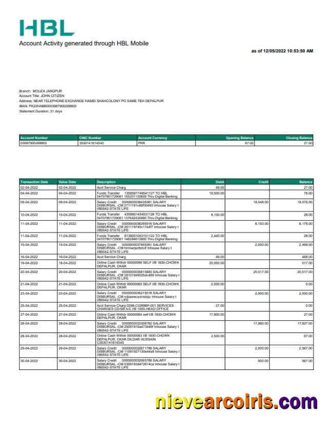 Pakistan HBL Bank Statement Preview