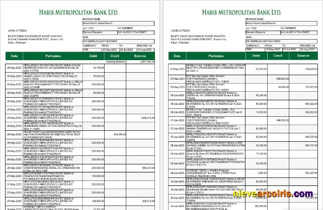 Professional Pakistan Habib Metropolitan Bank Statement Word And PDF Template, 5 Pages 1 2