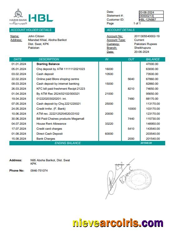 Premium Pakistan Habib Bank Statement Word And PDF Template