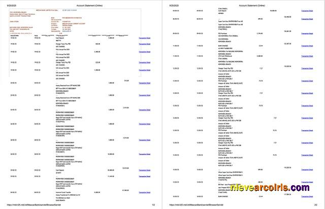 Professional Pakistan Meezan Bank Limited Account Statement Word And PDF Template, 2 Pages