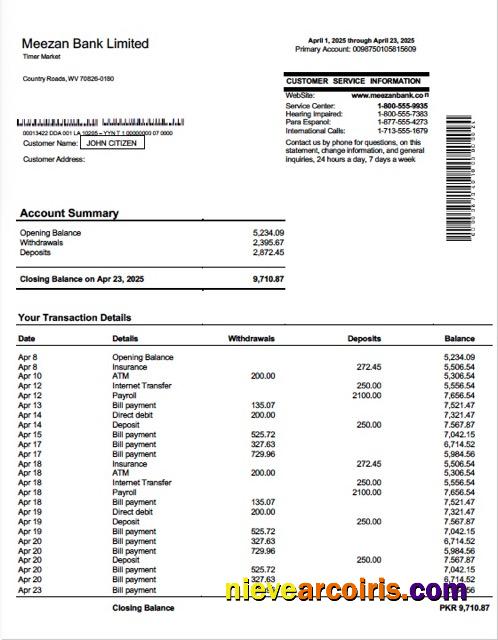 Editable Pakistan Meezan Bank Limited Account Statement Word And PDF Template