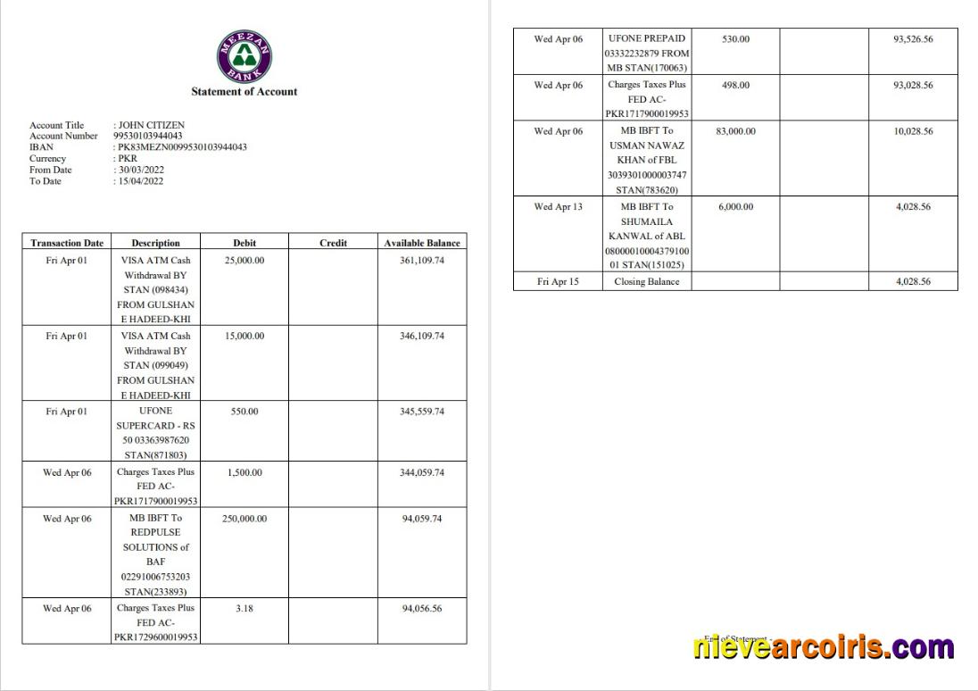 Pakistan Meezan Bank Statement 2 Pages Template
