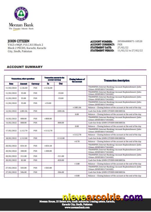Realistic Pakistan Meezan Bank Statement Template In Word And PDF Format