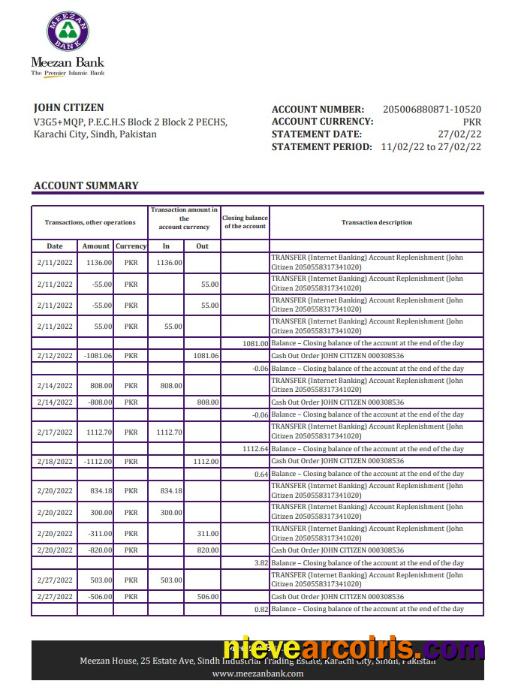 Pakistan Meezan Bank Statement Xls Preview