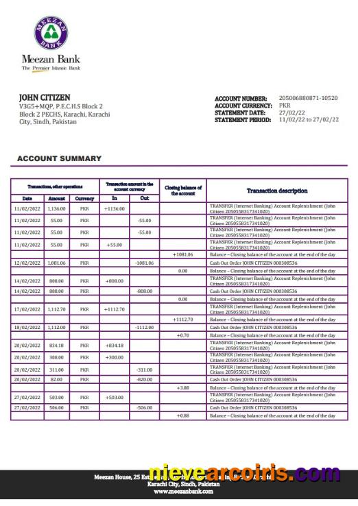 Pakistan Meezan Bank Statement Photolook