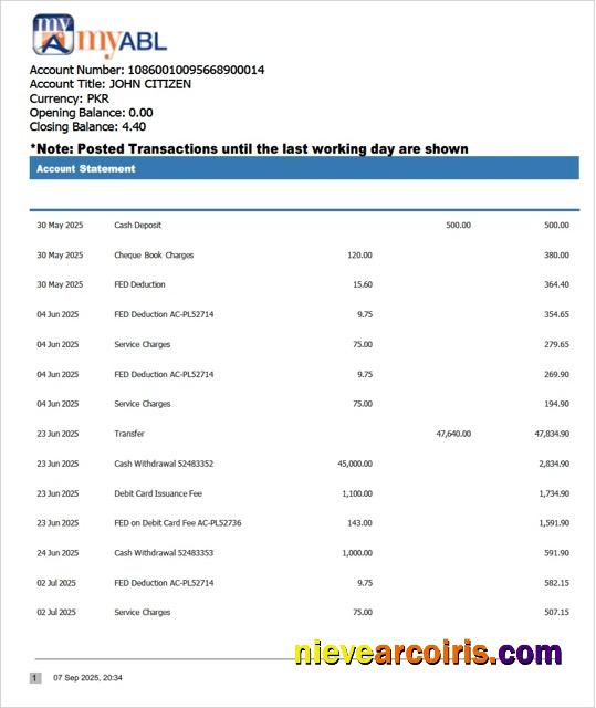 Premium Pakistan Myabl Account Statement Word And PDF Template