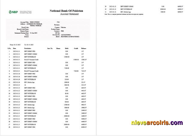 Premium Pakistan National Bank Of Pakistan Account Statement Word And PDF Template, 2 Pages