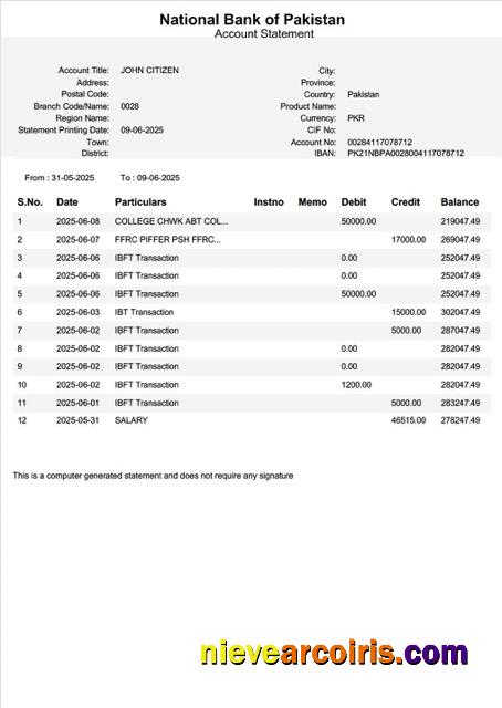 Premium Pakistan National Bank Of Pakistan Account Statement Word And PDF Template, Version 2